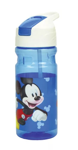 Gourde Mickey